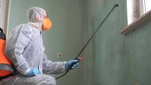 Pinetops, NC Mold Removal & Remediation Company