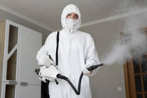 Best Mold Odor Removal Services  in Pinetops, NC